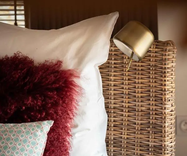 Bed & Breakfast La Metairie Du Clos Saint Louis